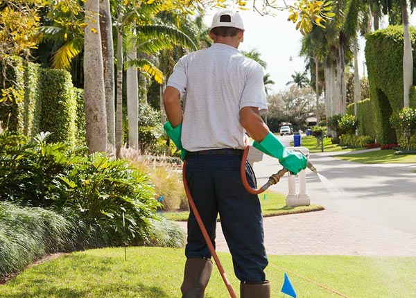 About Belgrade Lakes ME Pest Control Pros